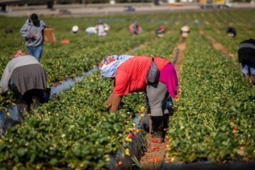 Trabajar legalmente en Estados Unidos y seis países más: Mintrab lanza nueva plataforma y alerta sobre estafas