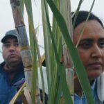 ‘Historias del buen valle’: Dignidad, Humanidad y Solidaridad (*****)