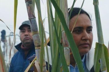 ‘Historias del buen valle’: Dignidad, Humanidad y Solidaridad (*****)