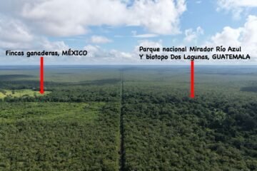 Documental revela el trabajo del Grupo Élite Génesis para proteger la Selva Maya en Guatemala