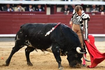 Javier Cortés y Niñito: la autodestrucción de una gran obra en Las Ventas