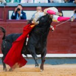 El novillero catalán Mario Vilau «tuvo mucha suerte» con la cornada, según el doctor García Padrós