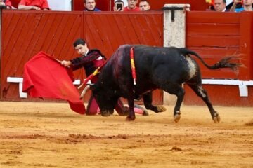 Inicio