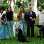 Una aplicación española monitoriza la salud de los perros para prevenir enfermedades