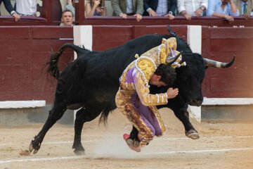 La verdad salvaje de Hernández conmueve Madrid