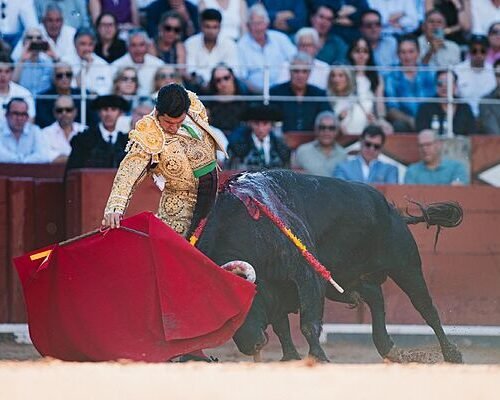 Inicio