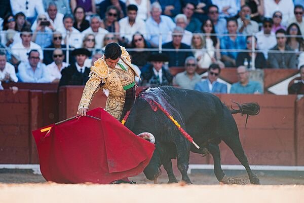 Inicio