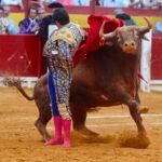 Un Morante de ensueño y cabreado con la doble vara de medir de Alicante: Talavante, a hombros con una gran corrida de Santi Domecq