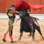 Torería de Urdiales en el rotundo triunfo de Fernando Adrián en Segovia