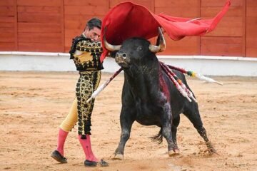 Torería de Urdiales en el rotundo triunfo de Fernando Adrián en Segovia