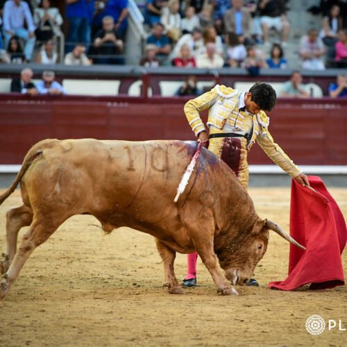 Inicio