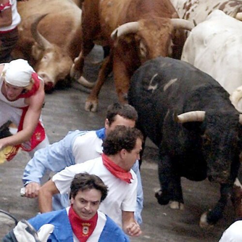 Inicio