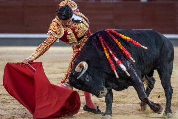 Novillada con posibilidades de López Gibaja en la noche de Las Ventas