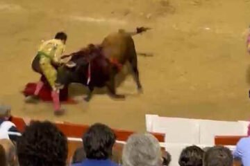 Morante de la Puebla, cogido en la nocturna de Palma de Mallorca