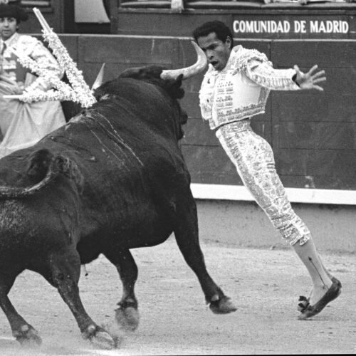Inicio