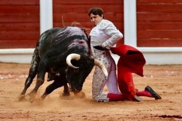 La raza de Roca Rey arrolla en Gijón