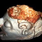 Un rostro felino sobre un cráneo humano: la pieza arqueológica que revela nuevos conocimientos sobre la civilización maya