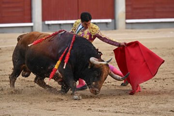 Marco Pérez sobrevive a la crueldad de Madrid